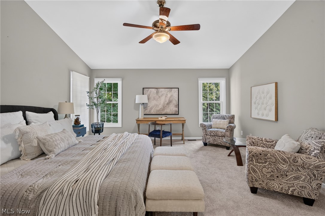 2883 Hawkins Lane Twinsburg OH 44087