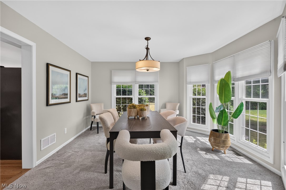 2883 Hawkins Lane Twinsburg OH 44087