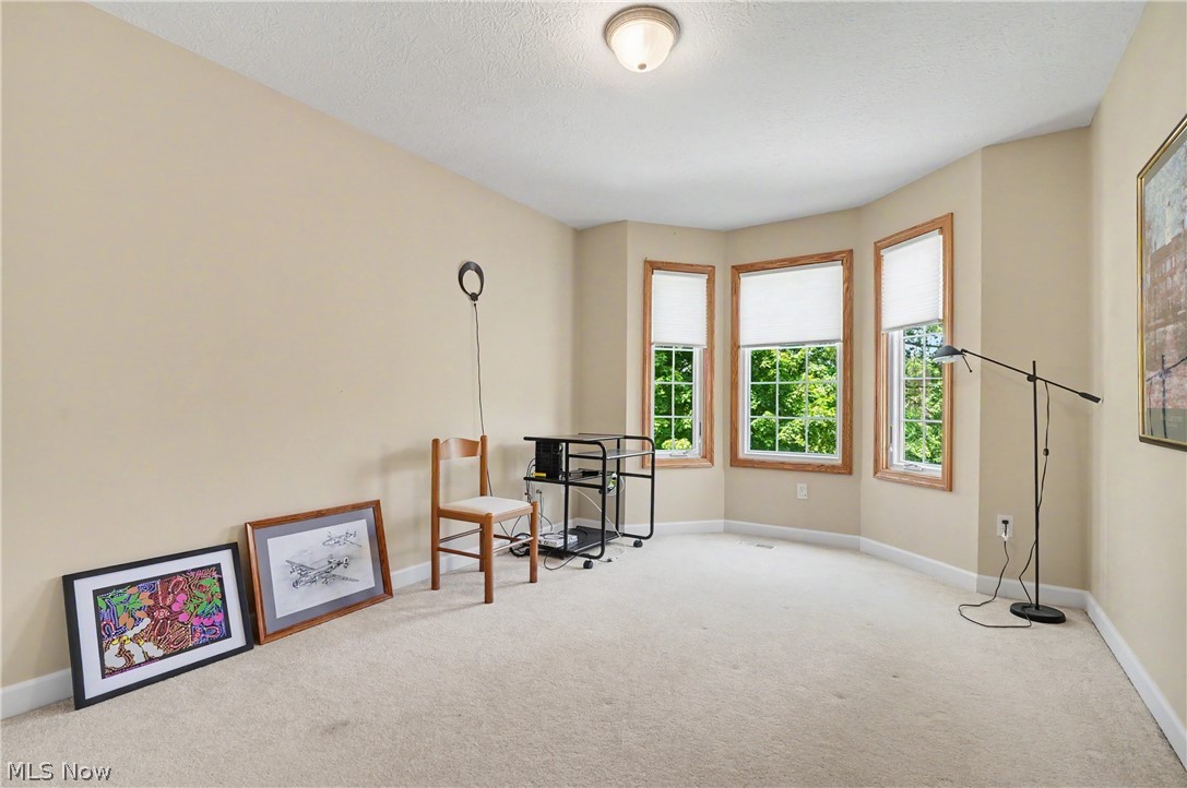 1250 Woodsview Drive Akron OH 44313