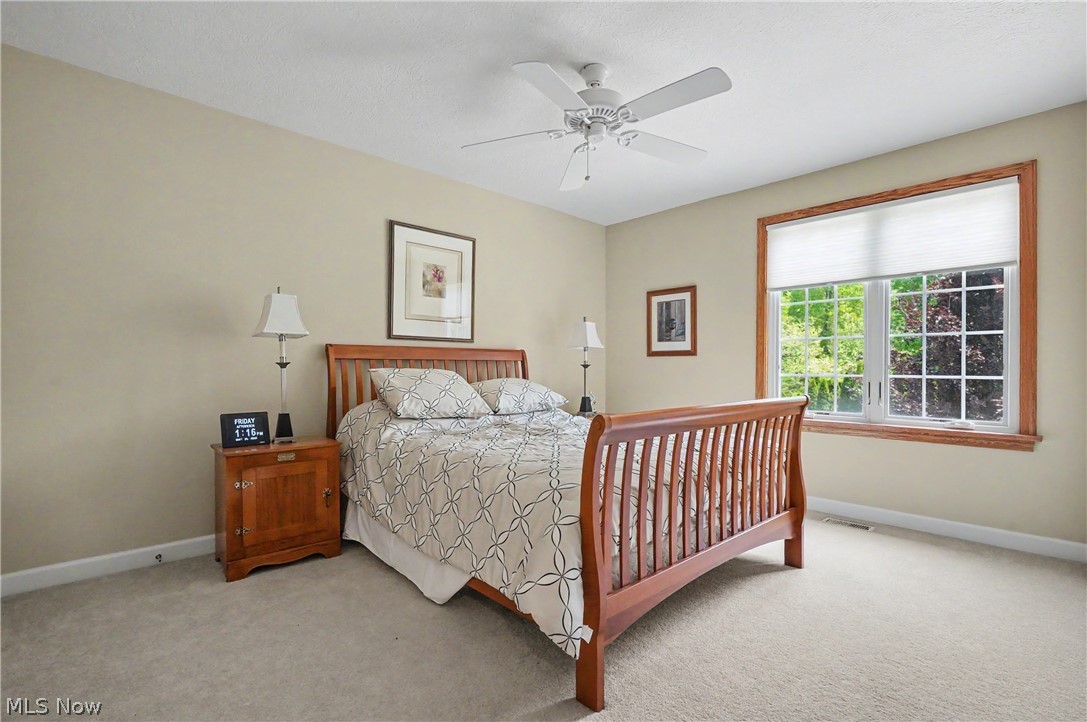 1250 Woodsview Drive Akron OH 44313