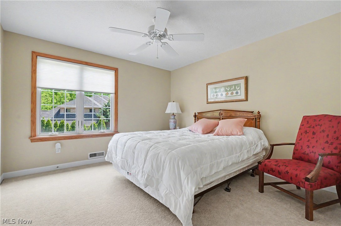 1250 Woodsview Drive Akron OH 44313