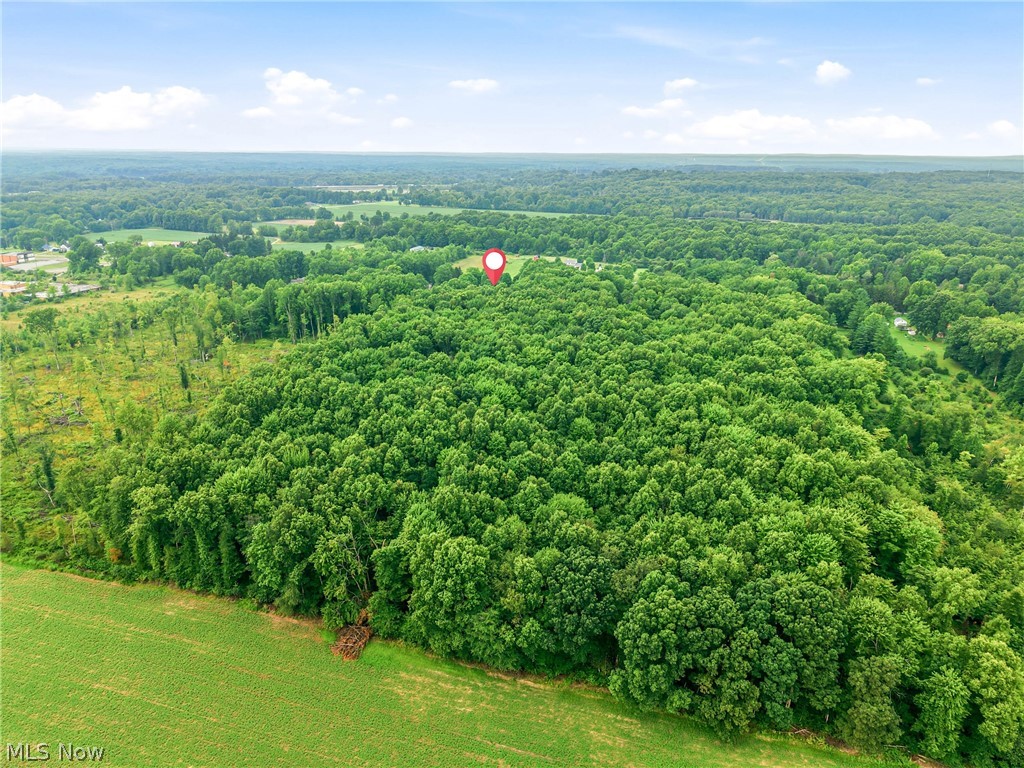 698 Braceville Robinson Road NW Newton Falls OH 44444