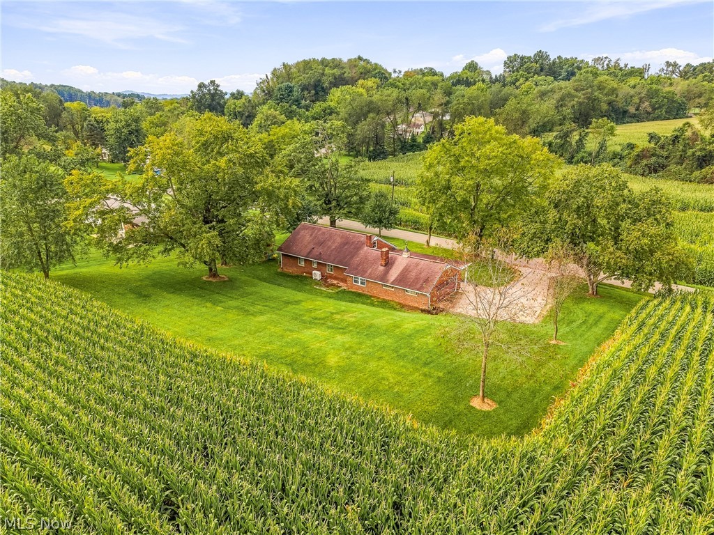 3633 Blacksnake Hill Road NE Dover OH 44622