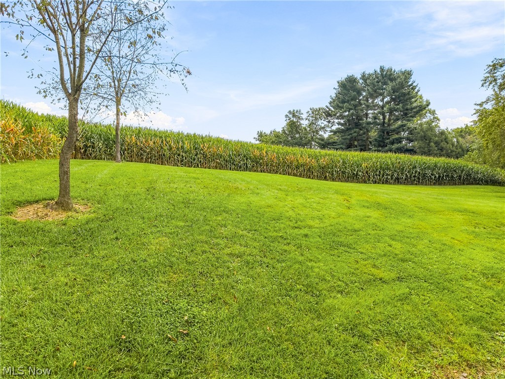 3633 Blacksnake Hill Road NE Dover OH 44622
