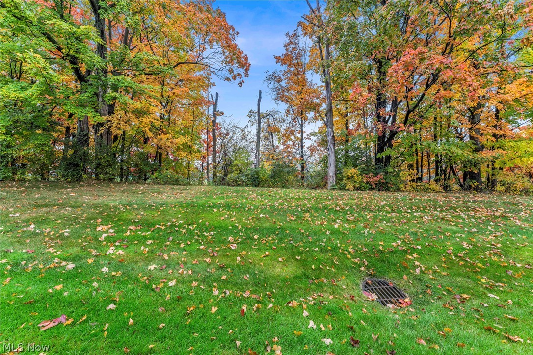 1605 Windrow Lane Broadview Heights OH 44147