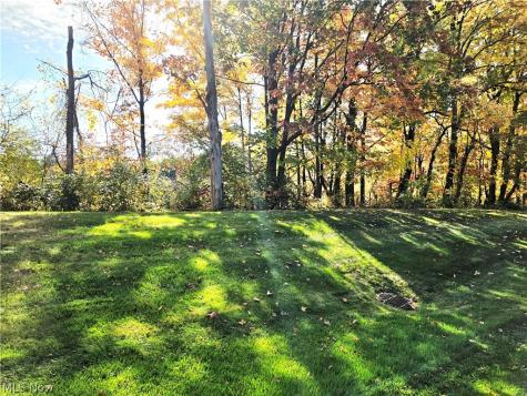 1605 Windrow Lane Broadview Heights OH 44147