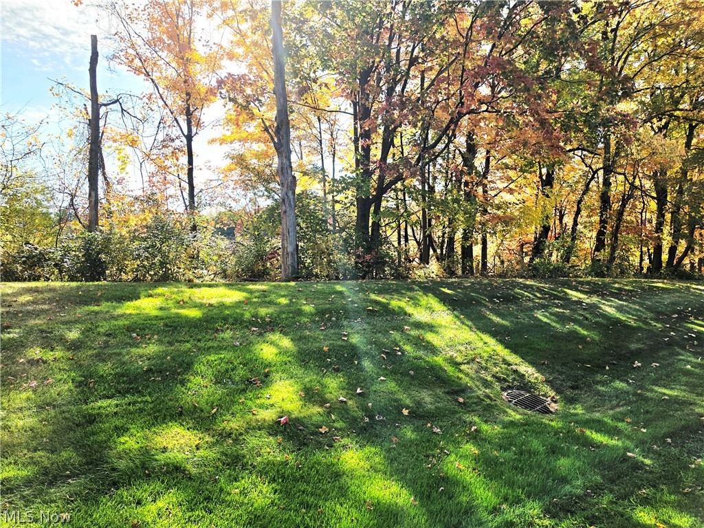 1605 Windrow Lane Broadview Heights OH 44147