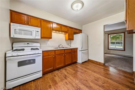 129/131 Arlington Avenue Painesville OH 44077