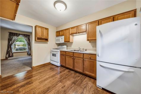 129/131 Arlington Avenue Painesville OH 44077