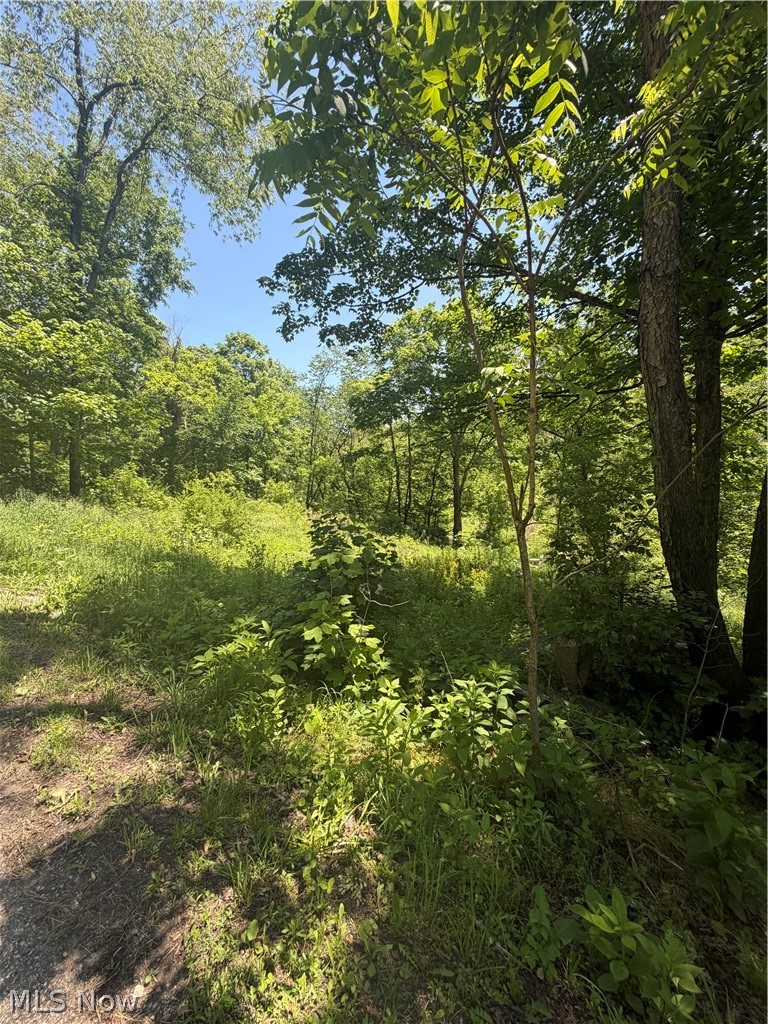 15692 Sligo Road Kimbolton OH 43749