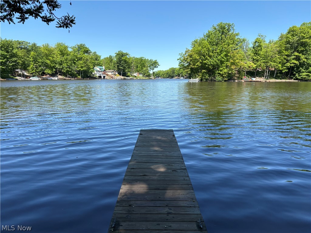 2325 Plum Point Roaming Shores OH 44084
