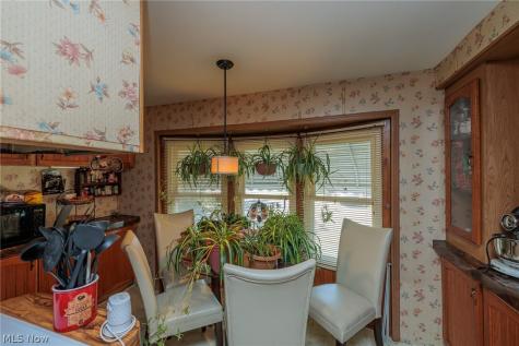 14 Van Ess Drive Olmsted Twp OH 44138