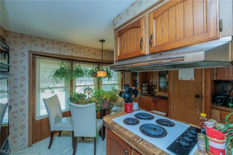 14 Van Ess Drive Olmsted Twp OH 44138