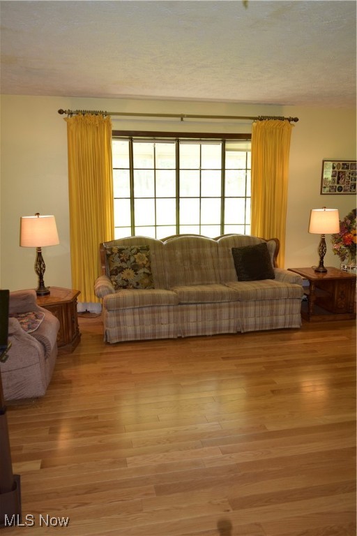 12791 Morning Glory Trail Chesterland OH 44026