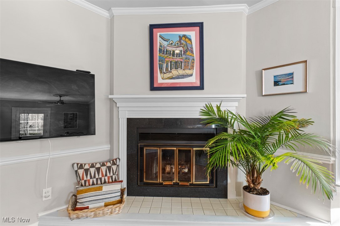 3315 Elsmere Road Shaker Heights OH 44120