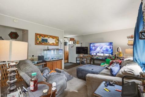 655 E 266th Street Euclid OH 44132