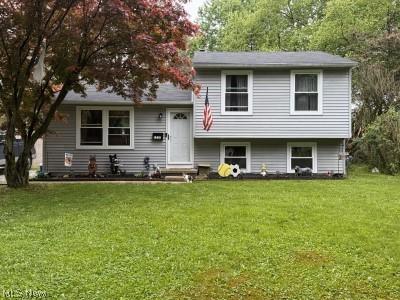 1311 Carol Drive Kent OH 44240