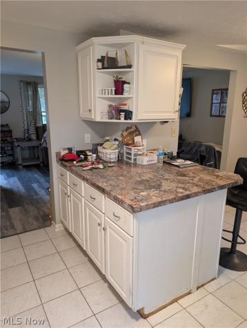 1311 Carol Drive Kent OH 44240