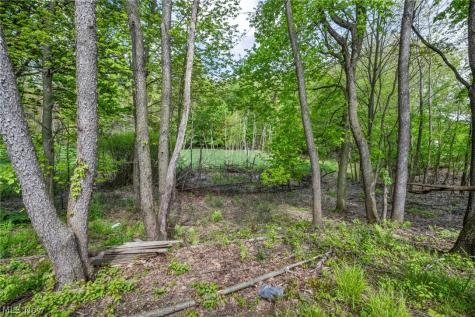 1103 Adrian Avenue Kent OH 44240