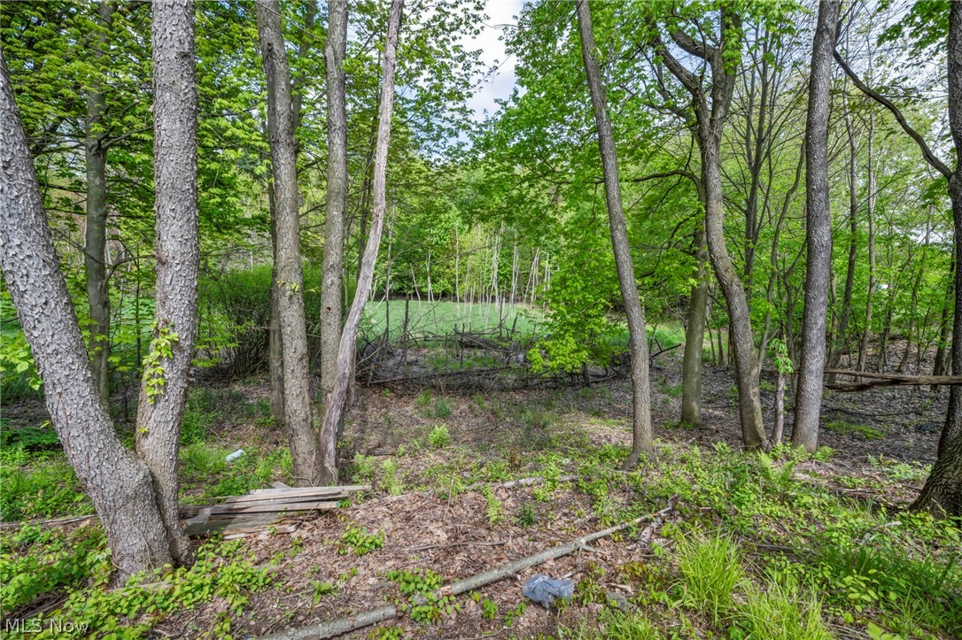 1103 Adrian Avenue Kent OH 44240