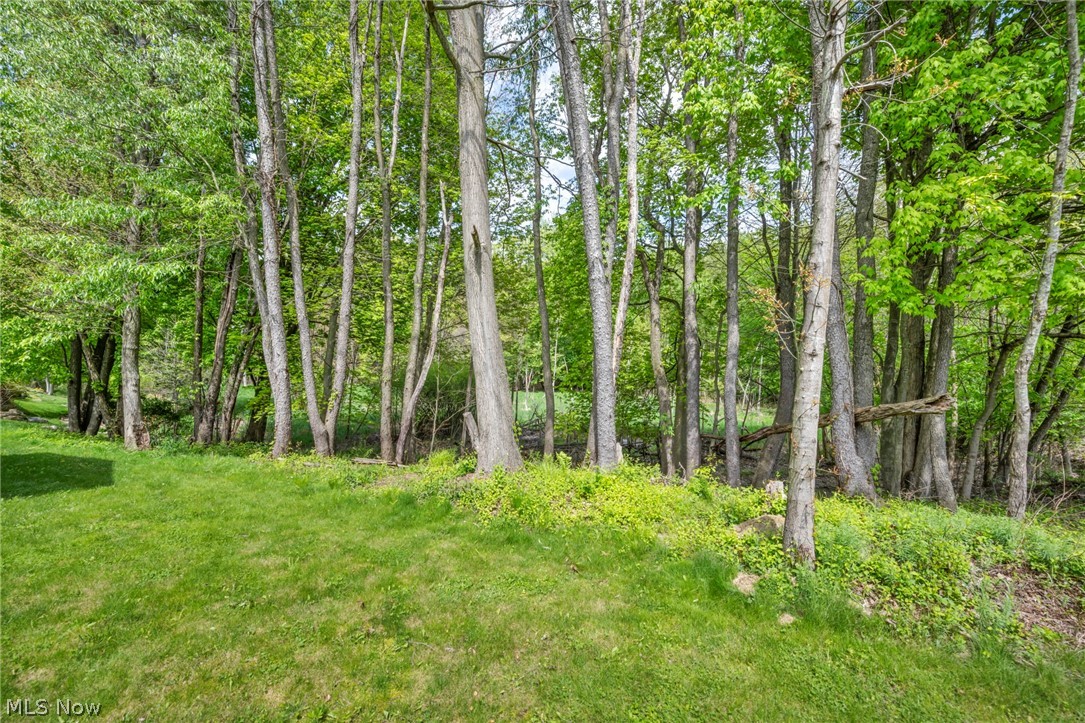 1103 Adrian Avenue Kent OH 44240