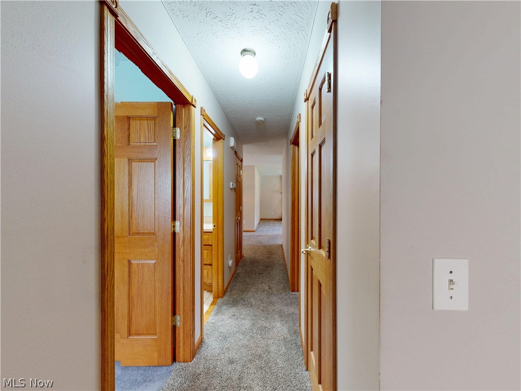 1646 Bridle Path Painesville OH 44077