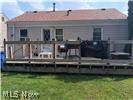 12002 Lena Avenue Cleveland OH 44135