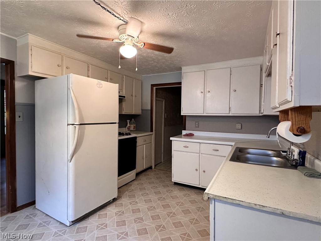 924 Ardoye Drive Painesville OH 44077