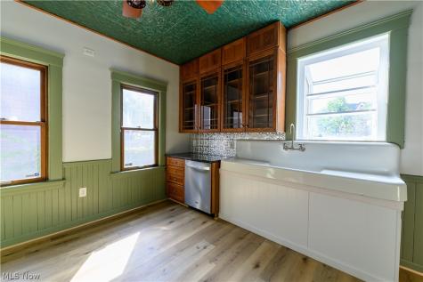4209 Woodbine Avenue Cleveland OH 44113