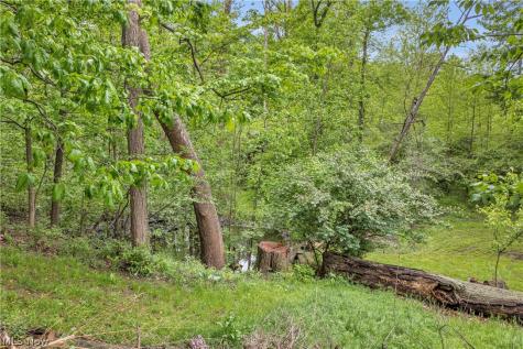8704 Columbia Road Olmsted Falls OH 44138