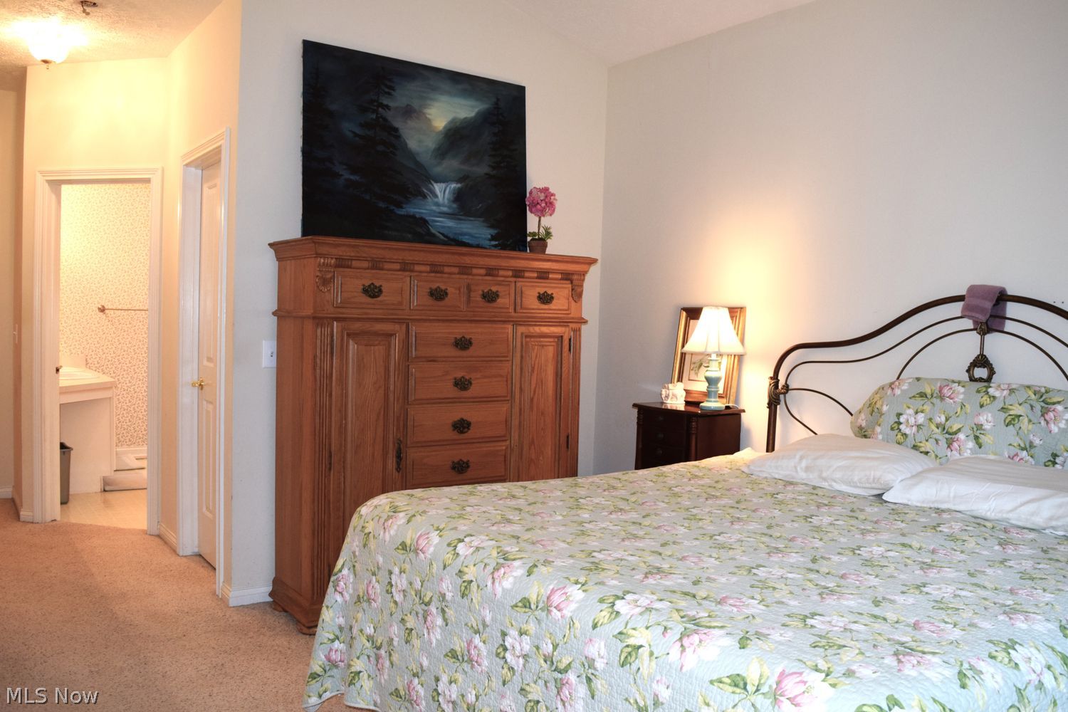 438 Woodside Drive Sagamore Hills OH 44067