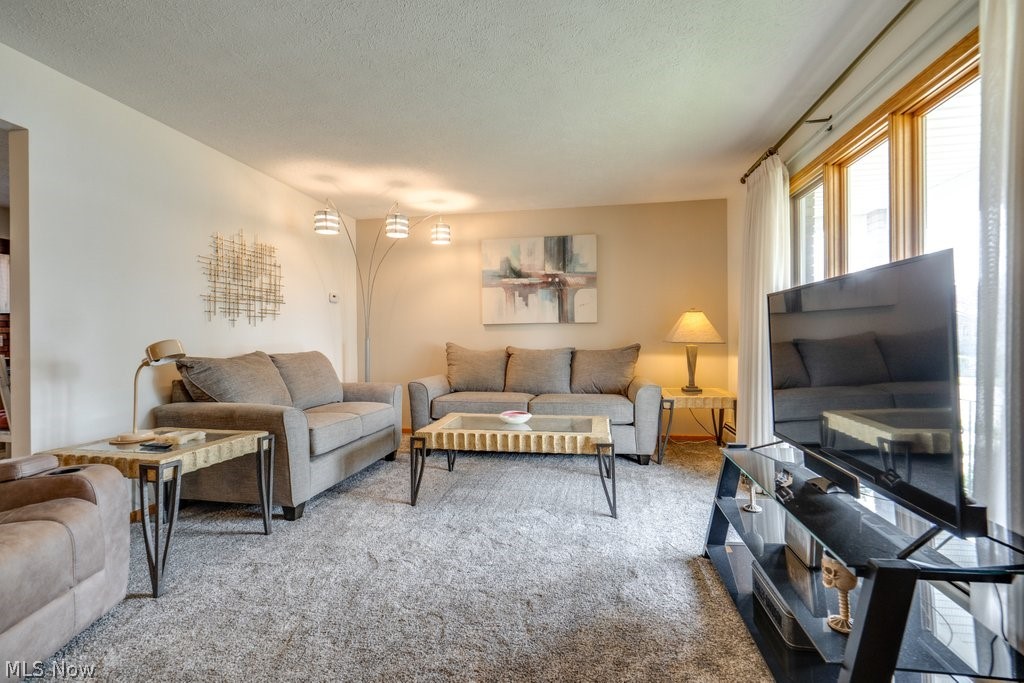 317 E Linwood Avenue Akron OH 44301