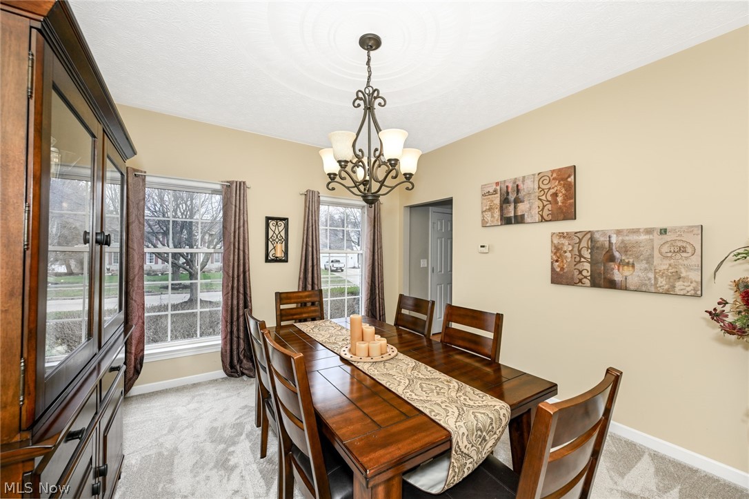 240 Gloucester Drive Medina OH 44256
