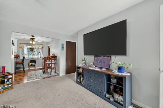 886 Long Shadow Lane Rome OH 44085