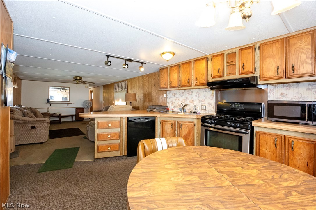 19 Silver Pond Drive Apple Creek OH 44606