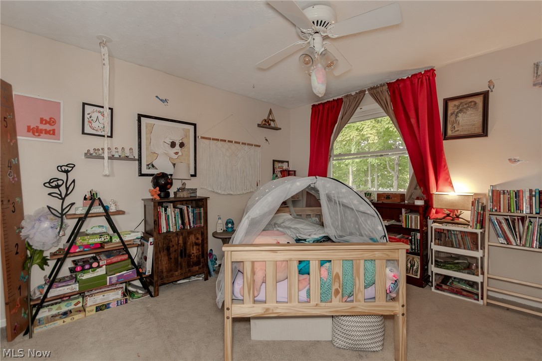 7169 Selworthy Lane Solon OH 44139