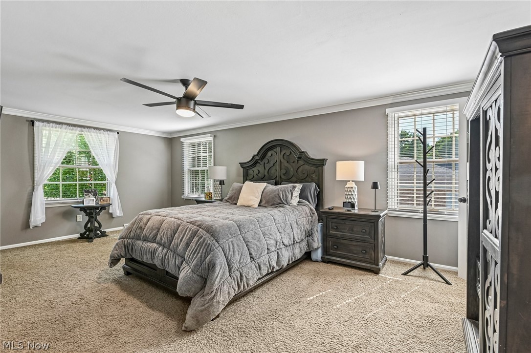 3709 Tippecanoe Place Canfield OH 44406