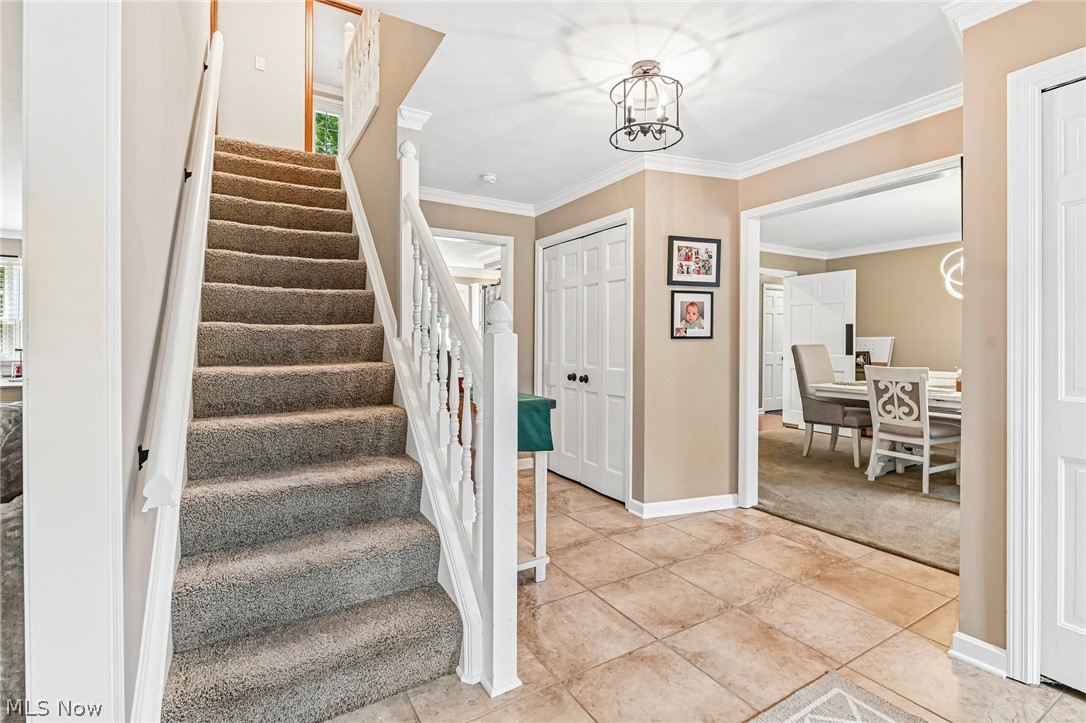 3709 Tippecanoe Place Canfield OH 44406