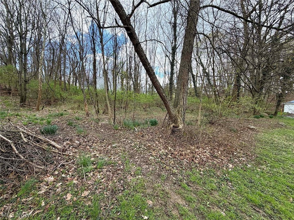 1610 Connecticut Avenue SE Massillon OH 44646