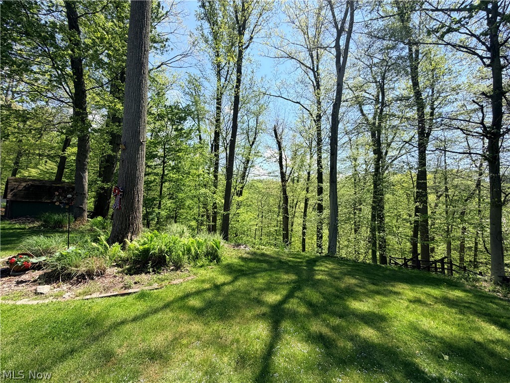 4064 Diana Drive Broadview Heights OH 44147