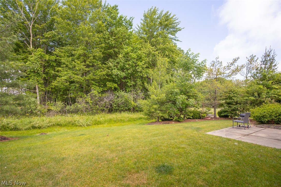 14450 Baywood Lane Strongsville OH 44136