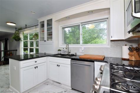 9145 Mercer Lane Brecksville OH 44141