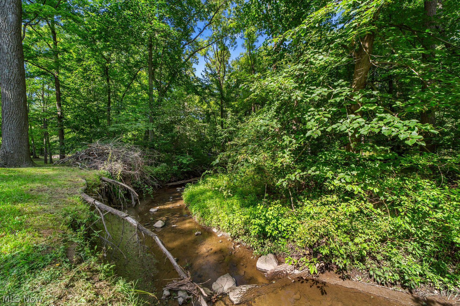 48252 Tina Lane Amherst OH 44001