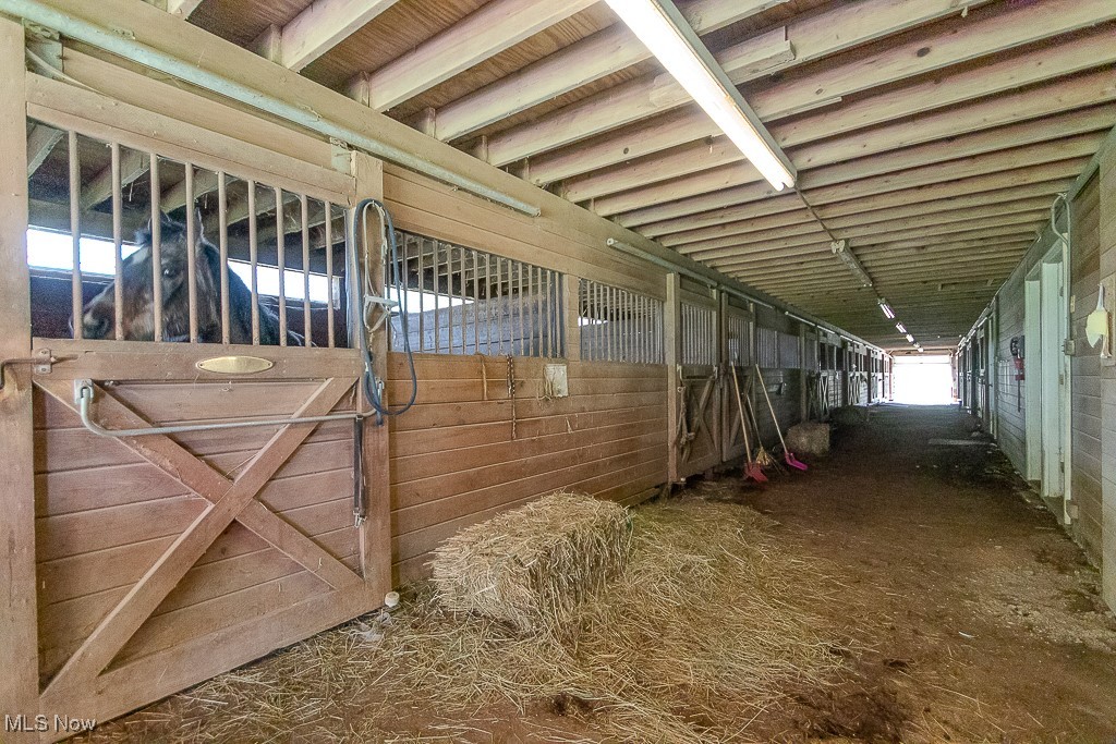 14068 Caves Road Novelty OH 44072