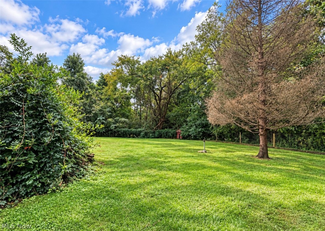8160 Imlay Road Blue Rock OH 43720