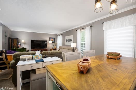 714 Whippoorwill Lane Wadsworth OH 44281