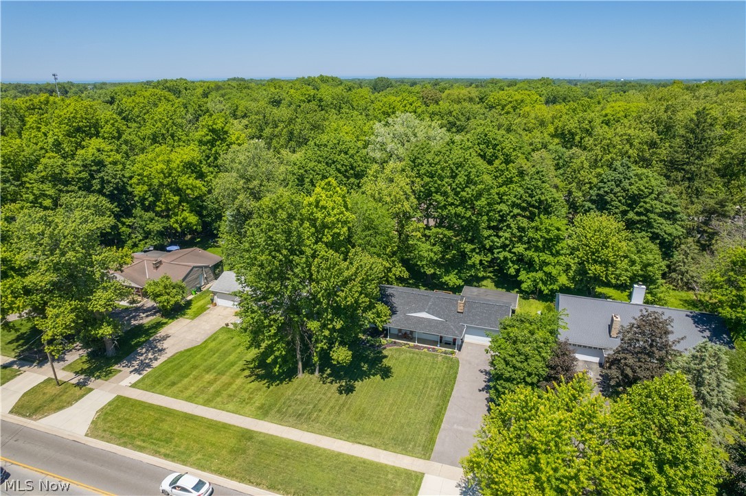 6185 Ridgebury Boulevard Mayfield OH 44124