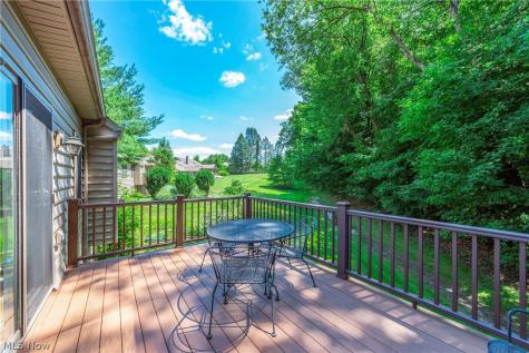 111 Cliffside Drive Wakeman OH 44889
