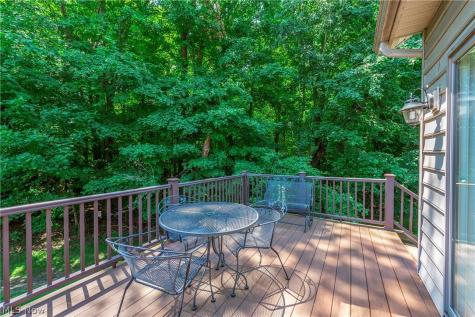111 Cliffside Drive Wakeman OH 44889