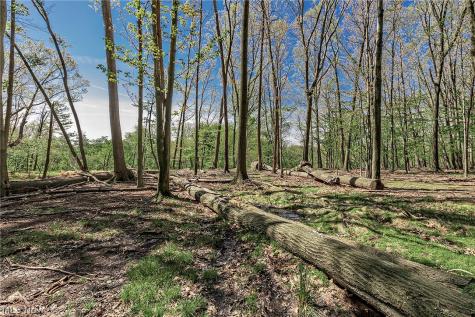 22530 Harms Road Richmond Heights OH 44143